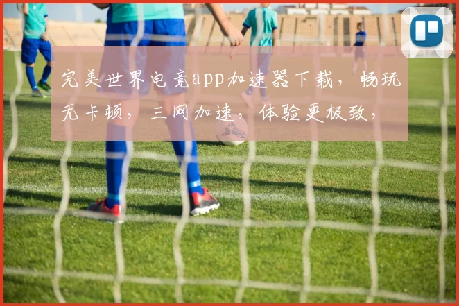 完美世界电竞app加速器下载，畅玩无卡顿，三网加速，体验更极致，游戏加速必备工具，快来下载