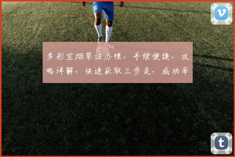 多彩宝烟草证办理，手续便捷，攻略详解，快速获取三步走，成功率高