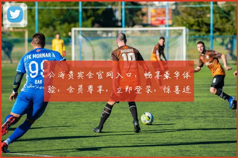 公海贵宾会官网入口，畅享豪华体验，会员尊享，立即登录，惊喜连连，三重福利等你来